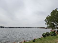 -丁香湖公园