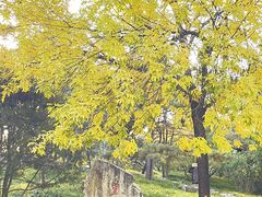 -丰台花园