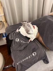 -EC BEAUTY易思美容