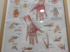 -优复医疗·骨科康复UP Clinic(陆家嘴院区)