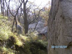 -鲁山国家森林公园