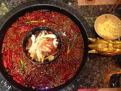-蜀大侠火锅(建设路第五大道店)