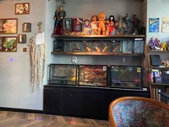 -抱暴龙爬宠·异宠·撸宠撸爬主题馆(大学路店)