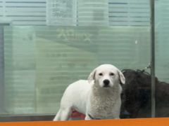 -暖阳宠物医院·犬猫康复中心·骨科