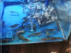 -长沙北辰洲际酒店-兰调全日餐厅