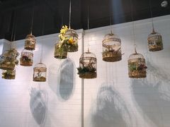 景观位-一笼小幸运