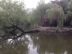 -水绘园