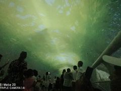 -大连圣亚海洋世界