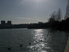 -天鹅湖体育公园