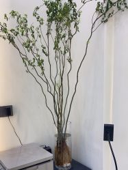 -十六番发型师事务所