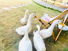 -HERRE·FARM 赫尔露营农场·团建聚会包场