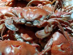 -韩风源自助烤肉(国贸精品店)