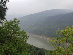 -铁山坪森林公园