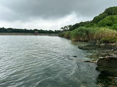 -上海市保健医疗中心