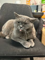 -飛凡TATTOO纹身•原创