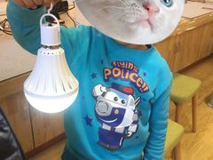 -手创未来·木工DIY手作