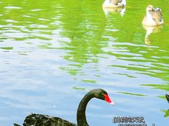 -杭州野生动物世界