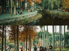 -金砂公园