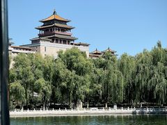 -莲花池公园