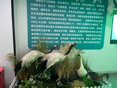 -宝岩生态观光园