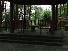 -铁山坪森林公园