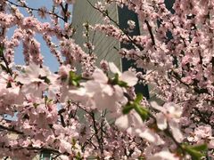 -哈尔滨商业大学(南校区)