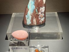 -中国地质博物馆