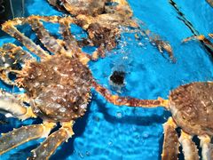 -大润发(康桥店)