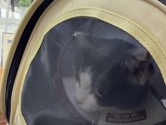 -贝来恩24H动物医院·转诊中心(稻香路店)