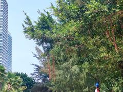 -巽寮印象美食部落餐厅·海鲜·地方特色菜(惠州体验店)