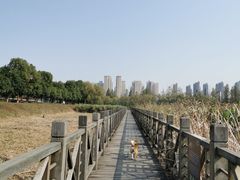 -洋湖国家湿地公园