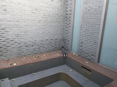 -仁爱团泊湖温泉中心
