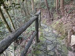 -郭洞古生态村