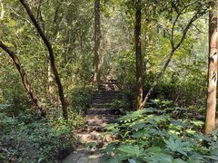 -杭州半山国家森林公园