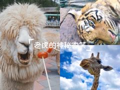 -贵州森林野生动物园