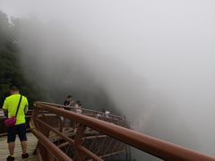 -少华山国家森林公园