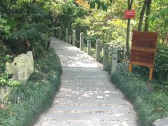 -十八棵（老龙井）御茶园(老龙井店)