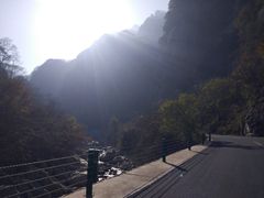 -陕西省红河谷森林公园