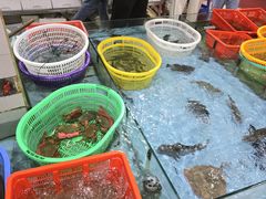 -隆都四季香饭店(碧海路店)