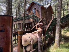 -洛阳白云山景区