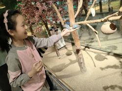 -酷嗒动物文化乐园(cutezoo西溪乐天城店)