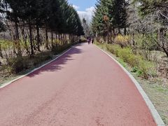 -长春市南湖公园