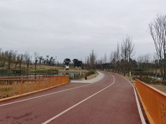 -白鹭湾湿地公园