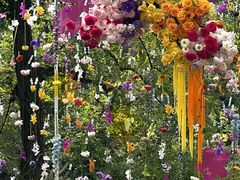 -怪咖·joker陈楠