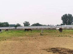 -北京拉斐特城堡酒店