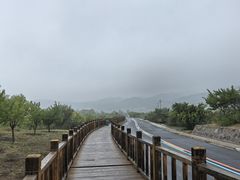 -敕勒川草原