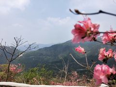 -木兰云雾山