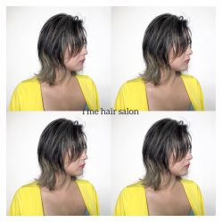 -SALON V