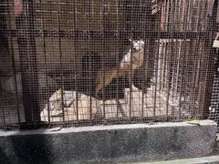 -昆明动物园
