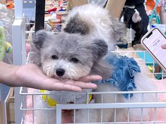 -IPARK购物中心